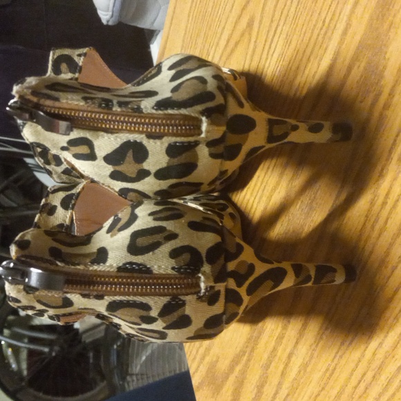 <Cheetah Print KITTEN Heals> - Picture 6 of 7